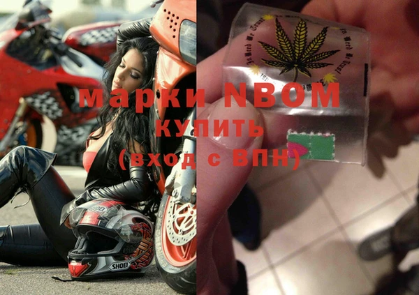 прущие грибы Майский