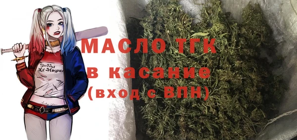 шишки Бердск