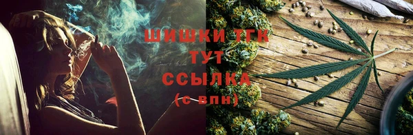 прущие грибы Майский